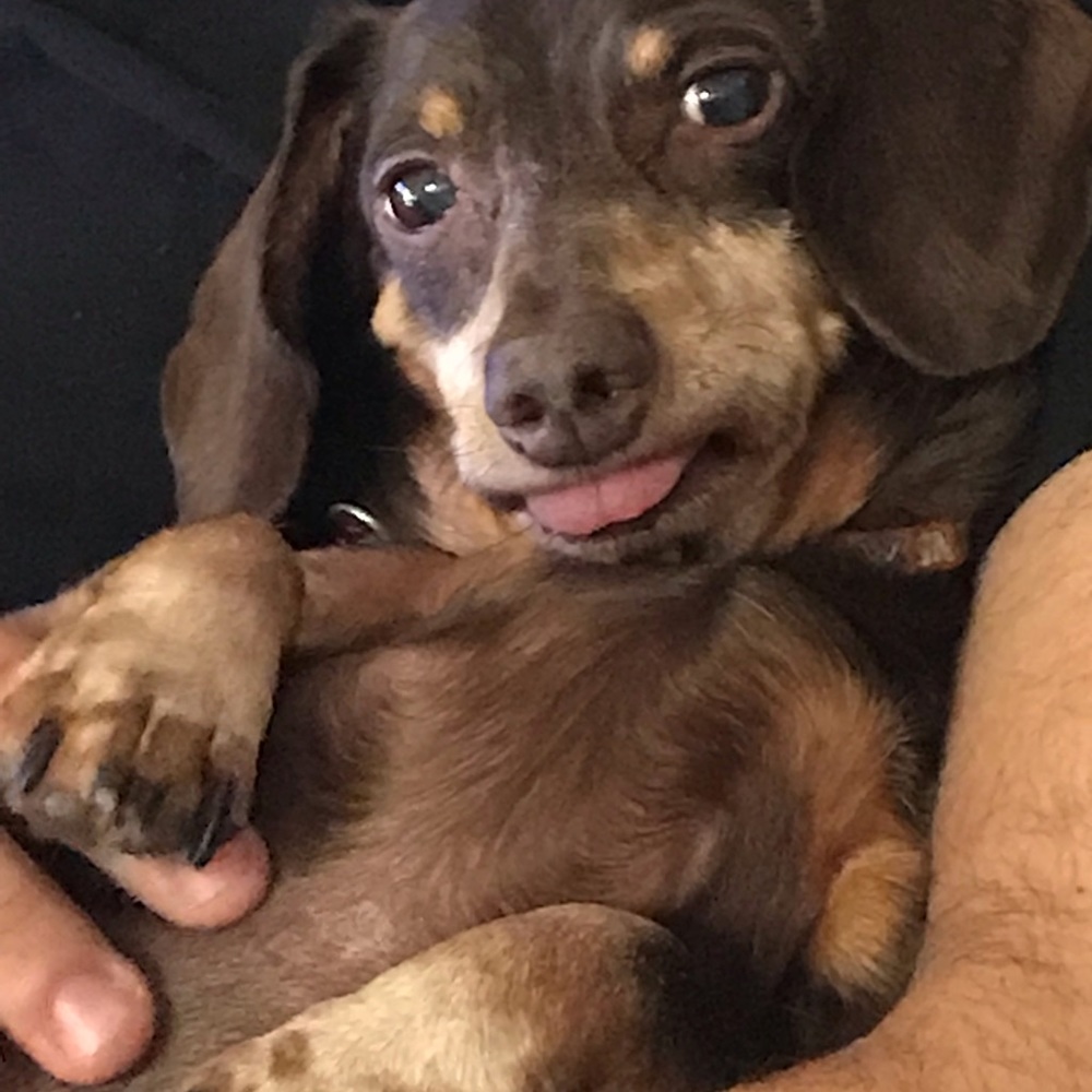 Meet your Posher, Brianna